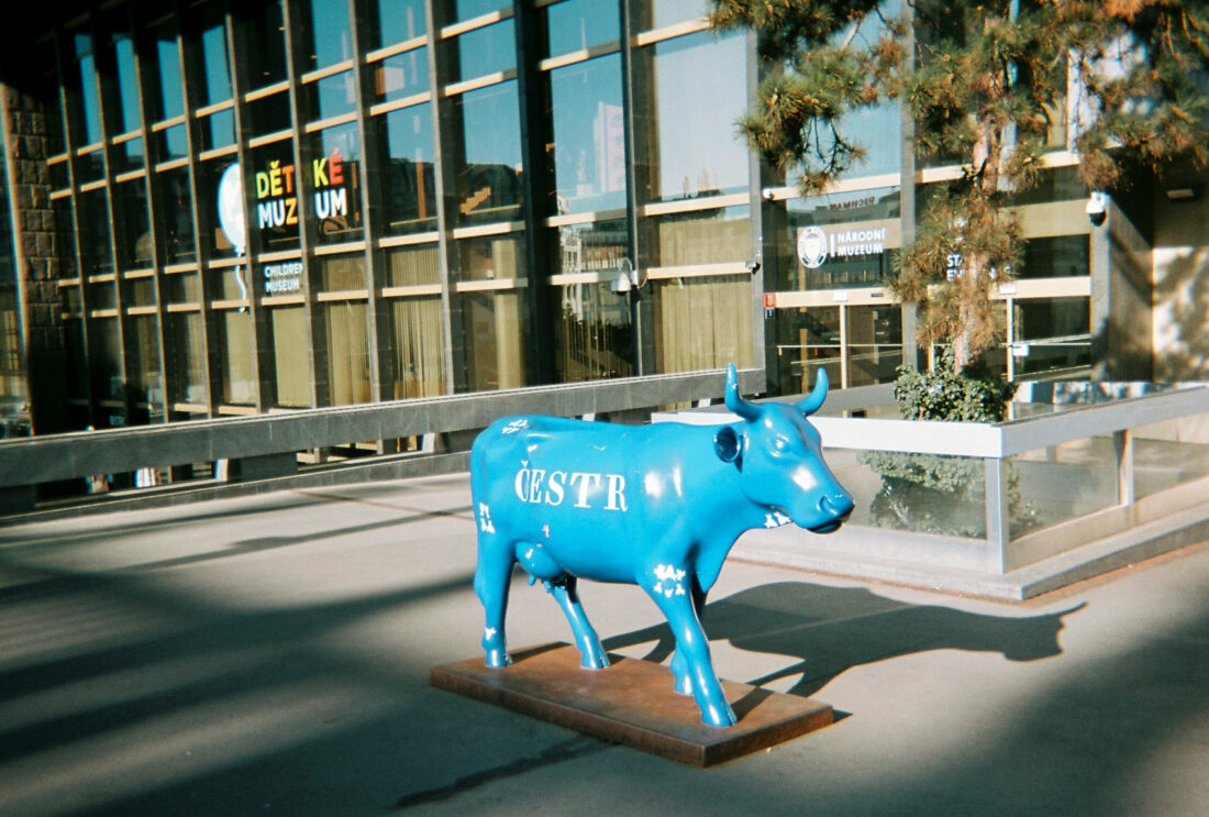 Kinol ReCamera – Recycled Disposable Camera